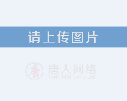 自貢網站制作：如何通過SEO優化提升網站排名